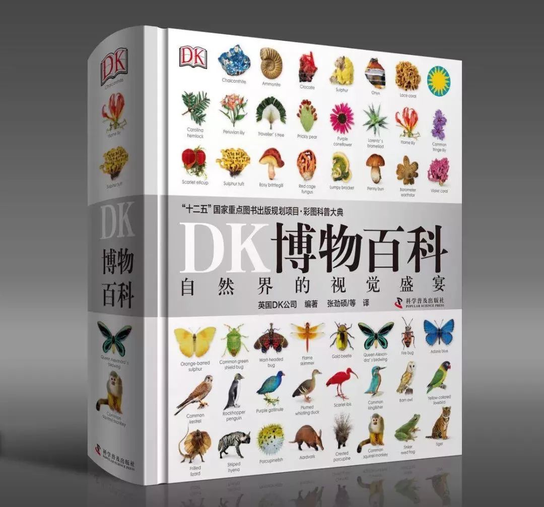 百科博物馆计划小程序_百科博物馆的镇馆之宝阅读答案_生活百科博物馆