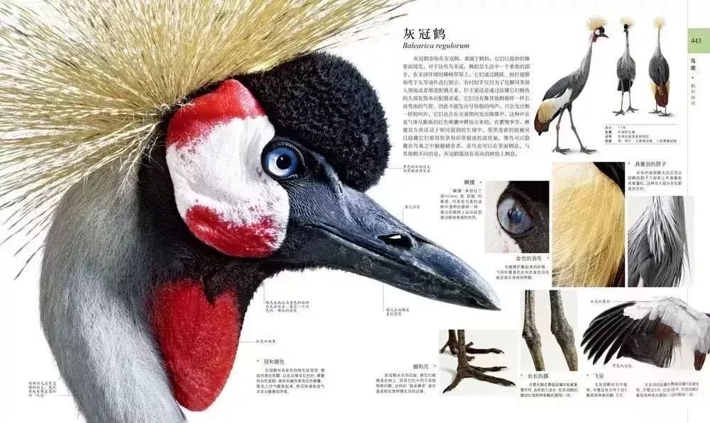 生活百科博物馆_百科博物馆的镇馆之宝阅读答案_百科博物馆计划小程序
