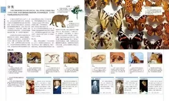 百科博物馆的镇馆之宝阅读答案_生活百科博物馆_百科博物馆计划小程序