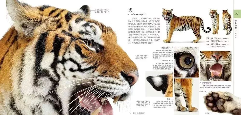 百科博物馆的镇馆之宝阅读答案_百科博物馆计划小程序_生活百科博物馆