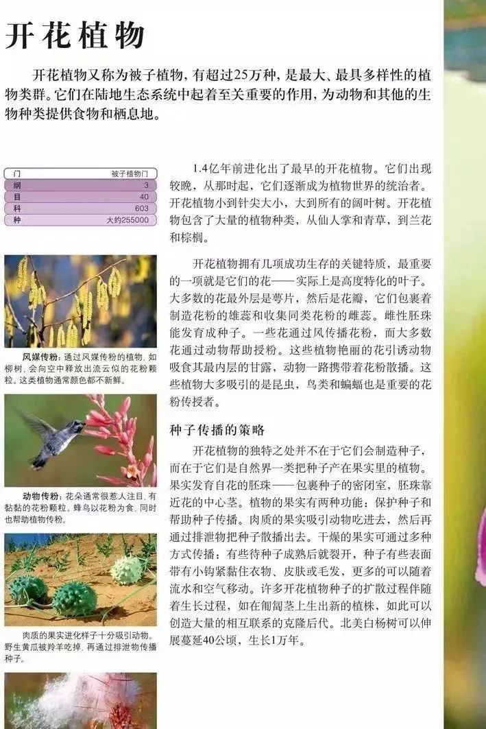 百科博物馆计划小程序_百科博物馆的镇馆之宝阅读答案_生活百科博物馆