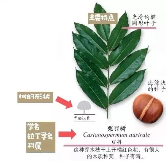 百科博物馆计划小程序_生活百科博物馆_百科博物馆的镇馆之宝阅读答案