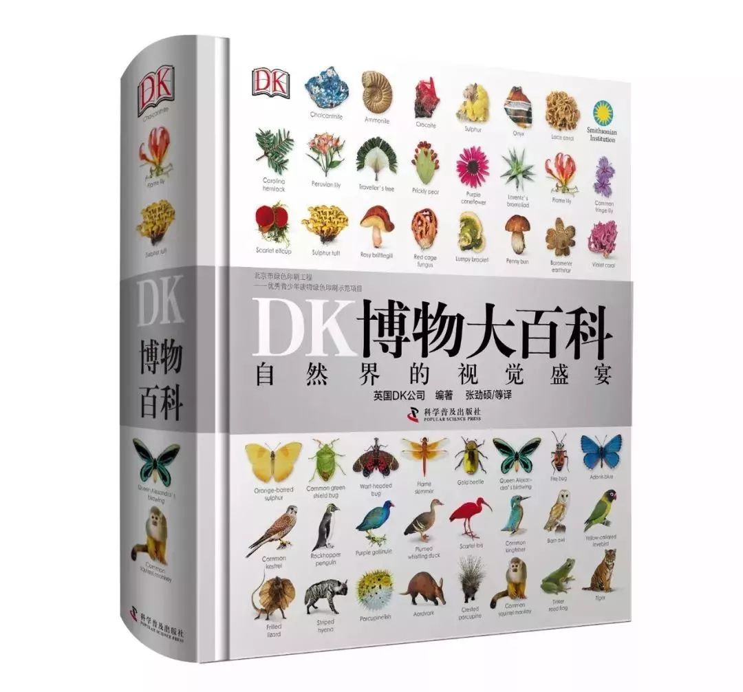 百科博物馆的镇馆之宝阅读答案_生活百科博物馆_百科博物馆计划小程序