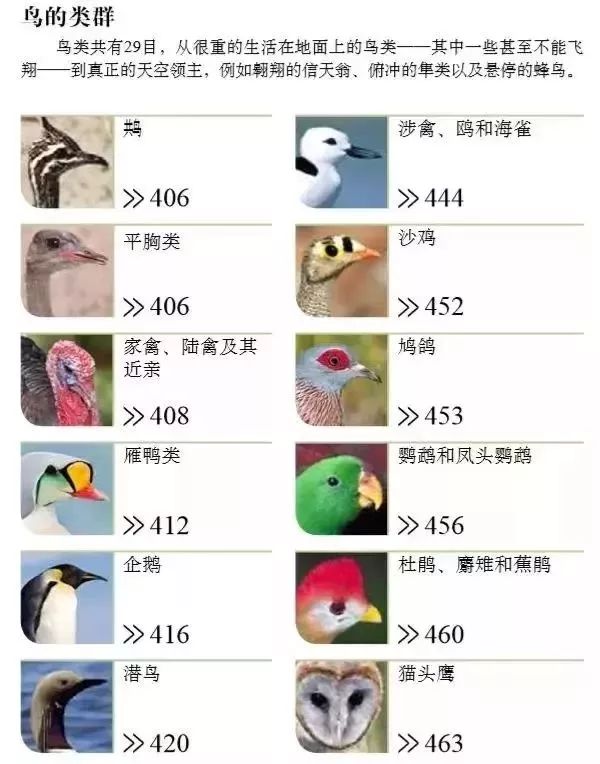 百科博物馆的镇馆之宝阅读答案_百科博物馆计划小程序_生活百科博物馆