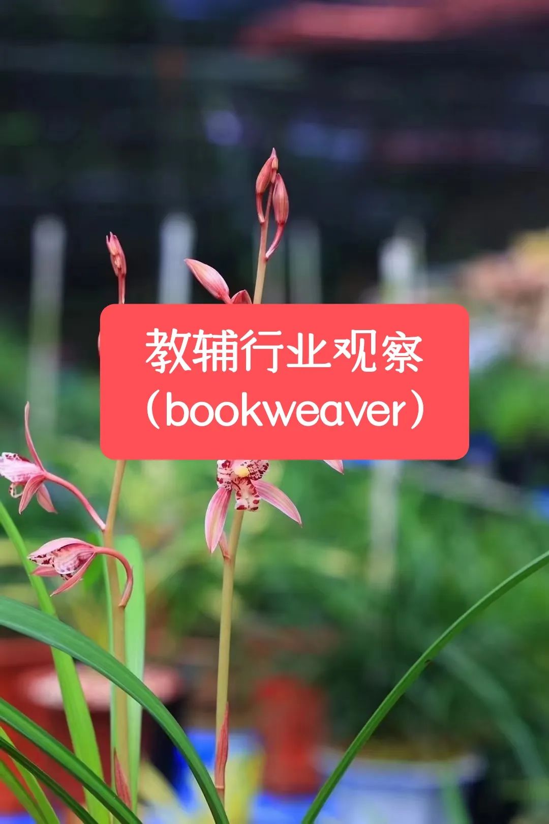 足球持球人犯规规则_足球规则犯规_足球持球犯规