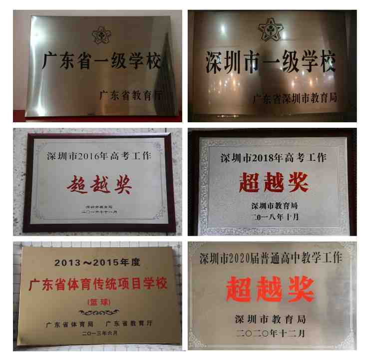蚌埠小学篮球联赛总冠军_蚌埠市篮球队_蚌埠青少年篮球俱乐部