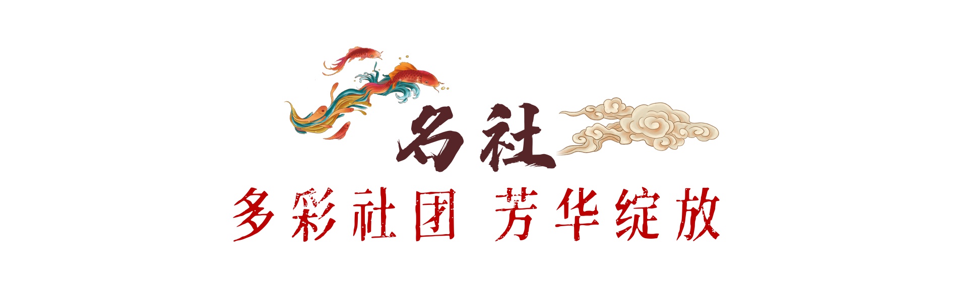 蚌埠市篮球队_蚌埠小学篮球联赛总冠军_蚌埠青少年篮球俱乐部