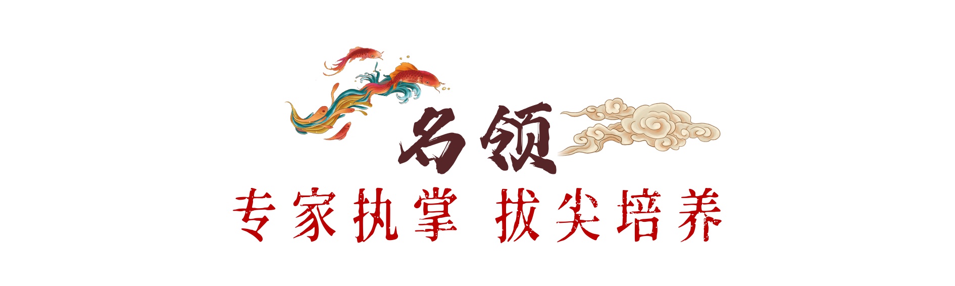 蚌埠青少年篮球俱乐部_蚌埠市篮球队_蚌埠小学篮球联赛总冠军