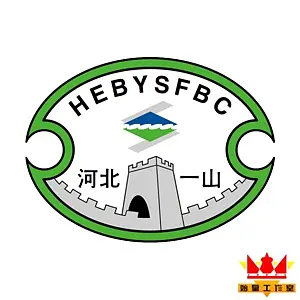 河北职业足球俱乐部_河北足球职业化历史_河北足球学院