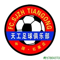 河北职业足球俱乐部_河北足球职业化历史_河北足球学院