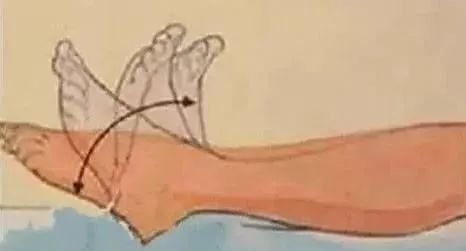 试述运动后过量氧耗产生的机制_叩齿有氧运动_运动后过量氧耗意义